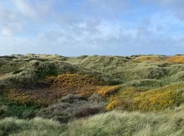 Konsultation – en person håller en kristall i solnedgångsbakgrund