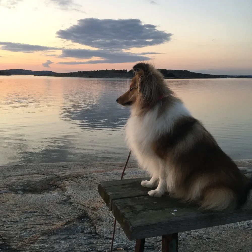 Energi och natur